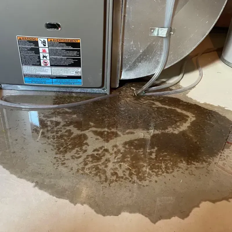 Appliance Leak Cleanup in Marion, TX